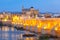 Night Mezquita and Roman bridge in Cordoba, Spain