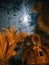 night mood, astro photography, full moon