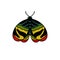 Night moth doodle icon, vector illustration
