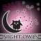 Night Owls Sale Moon Stars in Sky Logo