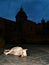 Night in Palermo city, Sicily, Italy. Sleeping dog and palace profile