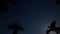 Night palm trees Moon Landscape island Vacation travel Tropical Nature Blue starry sky