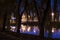 Night park with a pond in autumn. Landscape with a glowing lanterns and tree branches.