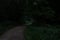 Night park trails dirt ground foot path way in darkness dangerous space