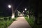 Night path in a green forest lit by lanterns, green Park nature landscape