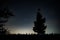 Night photo of C/2020 F3 Neowise comet above corn field with tree silhouette