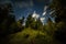 Night photo. Coniferous forest on a mountainside and stars in the sky with running blurry clouds.