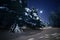 Night photo. Fluffy huge firs in the snow in a clearing.