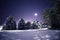 Night photo. Fluffy huge firs in the snow in a clearing.