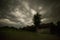 Night photo during a thunderstorm in a field. An old wooden hayloft and a tree with wind-blown foliage.