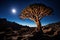 Night photos at Natural Arch and Quiver Tree, the only ones found in Namibia. Generative AI
