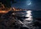 night promenade at sea on summer starry night and moon,on horizon city blurred light ,people walk