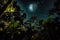 night rainforest, with the moon and stars shining through the dense canopy