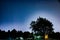 Night scene of farmland, with a central tree