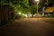 Night scene of gravel walk path and fresh green trees with light from lamp pole