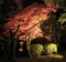 Night scene, illumination in Kenroku en garden in Kanazawa