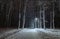 Night scene. Winter snowy park. Lanterns shine along the edges of the path