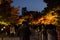 Night Scenery of Autumn leaves near Byodoin Temple