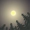 Night Scenery with Moon and Pine Trees