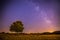 Night scenery: Stars, meadow and a tree. Purple and warm tones
