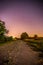 Night scenery: Stars, meadow and a tree. Purple and warm tones