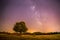 Night scenery: Stars, meadow and a tree. Purple and warm tones