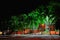 Night seaside promenade. Lit by street lights palm trees on the beach. Long shadows of the trees in light street lighting.