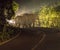 Night shot in Car Lights of A Family of five Asian Wild Elephant on the road in national park