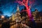 Night shot of Christmas markets at Rathausplatz, lighted ornate tree, town hall in the background