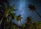 Night shot with palm trees and milky way in background