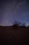 Night Skies at Joshua Tree, Death Valley and Little Tujunga