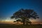 Night sky aesthetics, night sky stars with old oak tree in the background, beautiful night view at a roadtrip with night