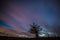 Night sky clouds flowing and tree