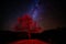 Night sky with milky Way and alone red illuminated tree on mountain landscape