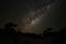 Night sky with Milkyway galaxy over trees silhouettes as seen from Anakao, Madagascar, bright Jupiter visible near Ophiuchus