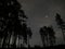 Night sky stars Jupiter over forest