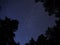 Night sky stars Perseids meteors over forest