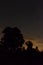 Night sky, stars, a silhouette of a man - Subcarpathia region Poland, August 2019