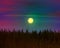 Night sky and wheat field and stars / Full Moon realistic painting Hoiday Magic Night illustration