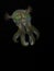 Night squid black underwater