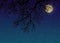 Night starry sky with a full moon behind tree branches close-up view from below.