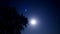 Night starry sky. A shooting star in the sky. Moon behind tree branches. The movement of the moon in the night sky.