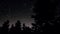 Night starry sky and trees silhouettes panorama 3d realistic footage
