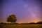 Night and stars Landscape: Clear Milky way at night, lonely field and tree