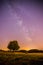 Night and stars Landscape: Clear Milky way at night, lonely field and tree