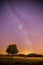 Night and stars Landscape: Clear Milky way at night, lonely field and tree