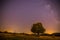 Night and stars Landscape: Clear Milky way at night, lonely field and tree