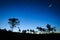 Night sunrise landscape with the moon, trees silhouette, stars