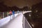 Night-Time View of Liberty Bridge in Greenville, South Carolina