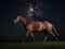 A Night Under Stars at The Irish Derby